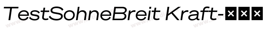 TestSohneBreit Kraft字体转换